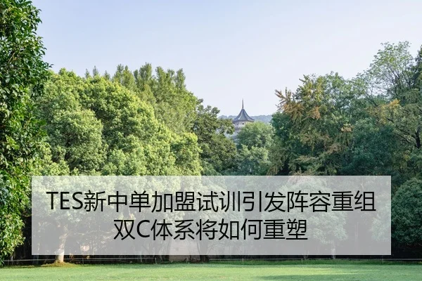 TES新中单加盟试训引发阵容重组双C体系将如何重塑