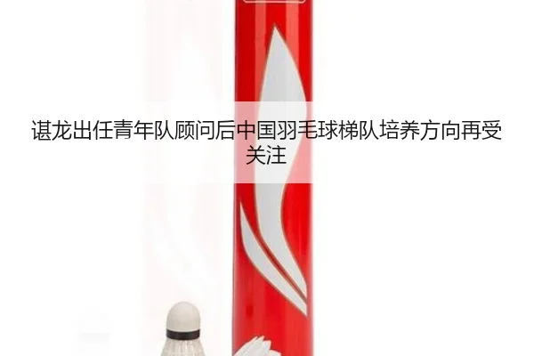 谌龙出任青年队顾问后中国羽毛球梯队培养方向再受关注