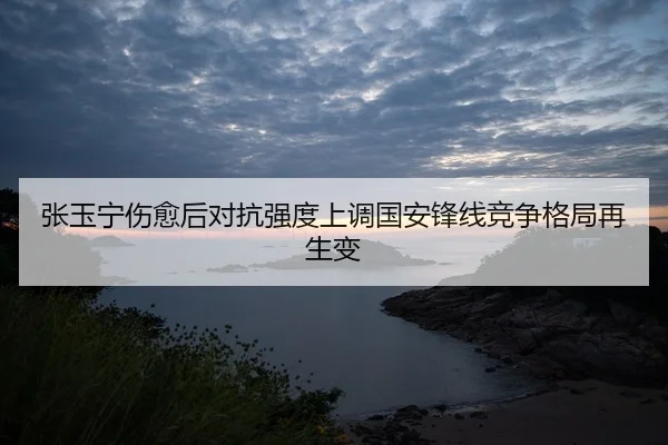 张玉宁伤愈后对抗强度上调国安锋线竞争格局再生变